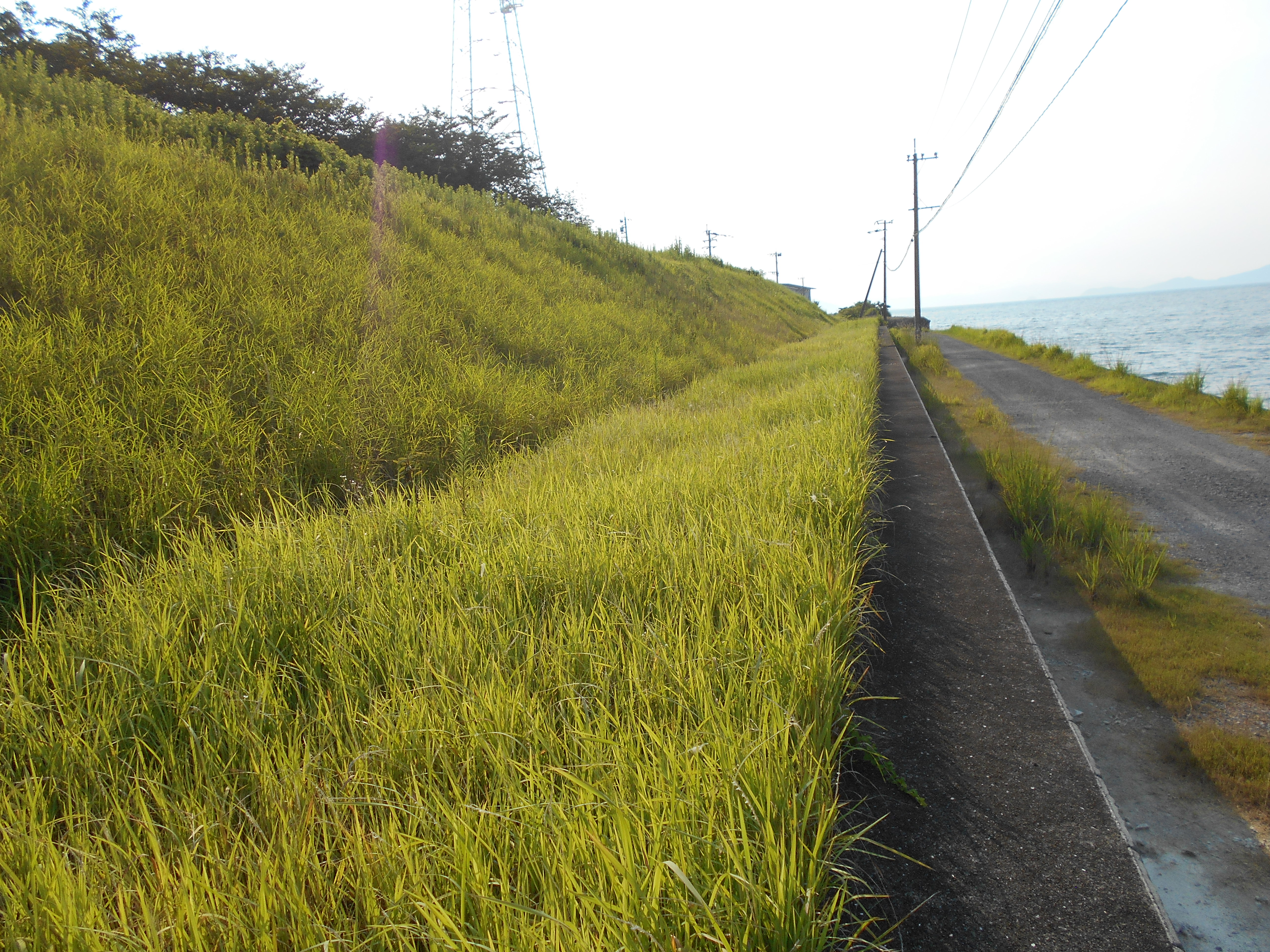 ハウスクリーニング,エアコンクリーニング,熊本,鹿児島