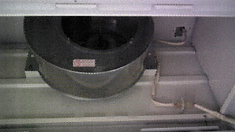 F{sŃWt[hCN[jO1111