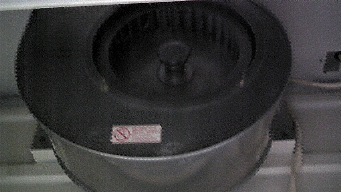 F{sŃWt[hCN[jO1111