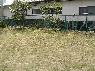 ,nEXN[jO,F{,